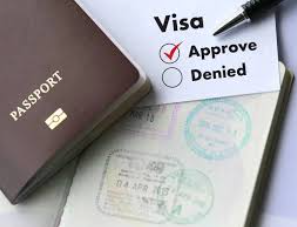 Navigating the Indian Visa Process